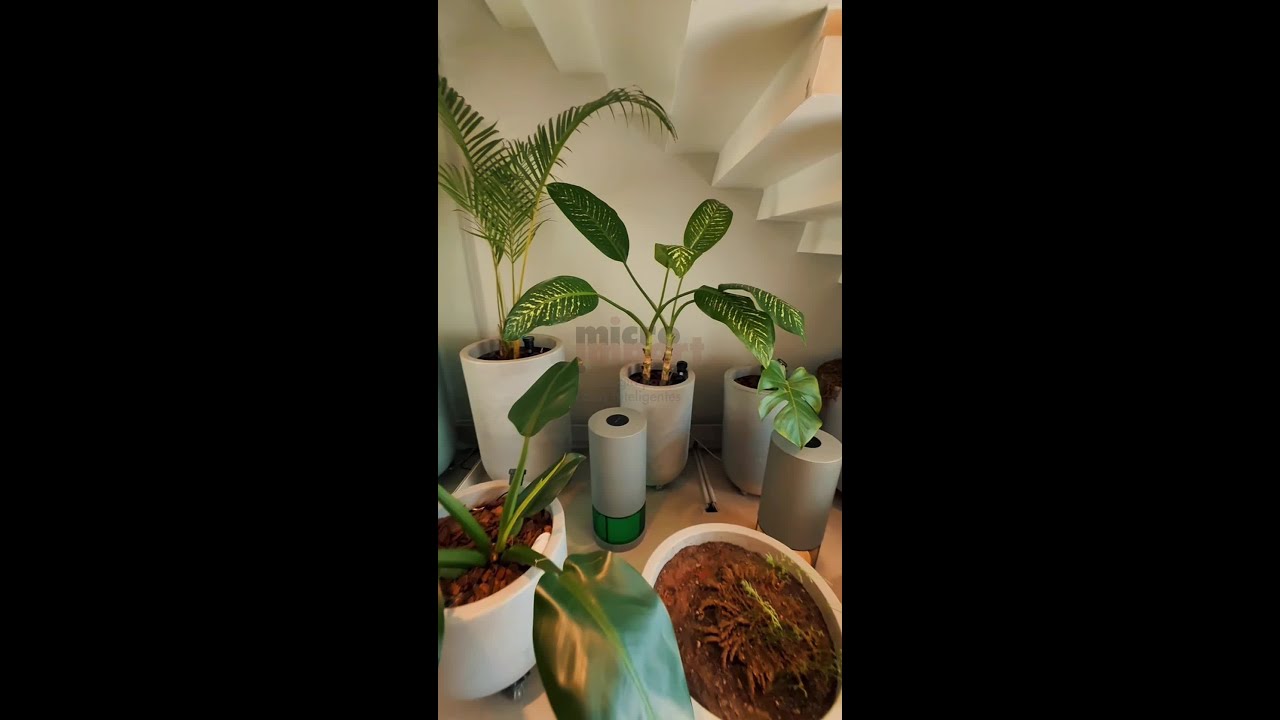 Showroom AAT em São Paulo - obra em vídeo da Micro Import