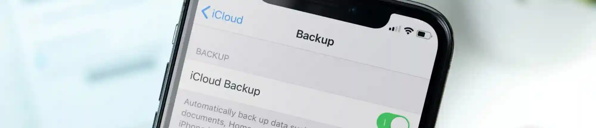 seubackup-seguro